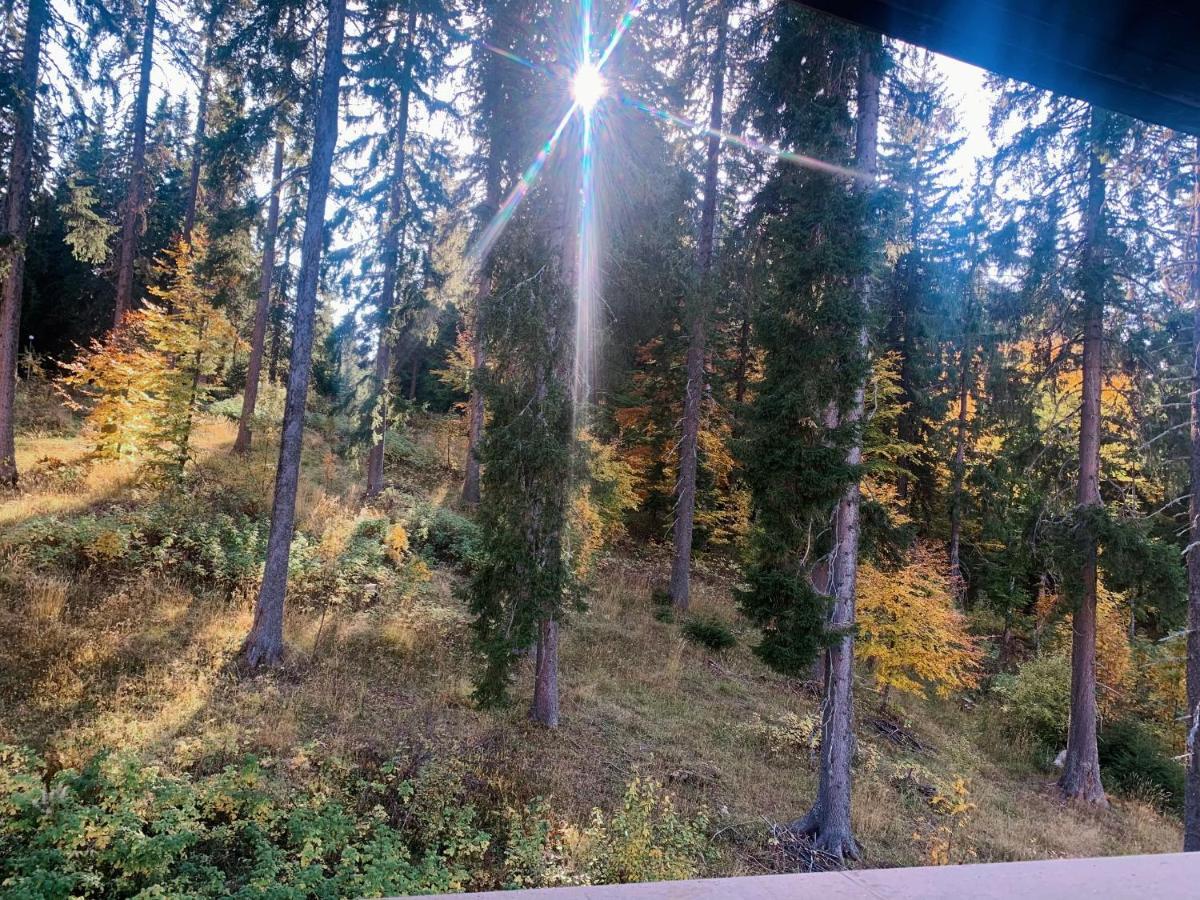 Evrika Home 19 Pamporovo Dış mekan fotoğraf