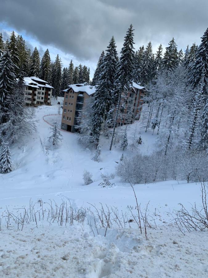 Evrika Home 19 Pamporovo Dış mekan fotoğraf
